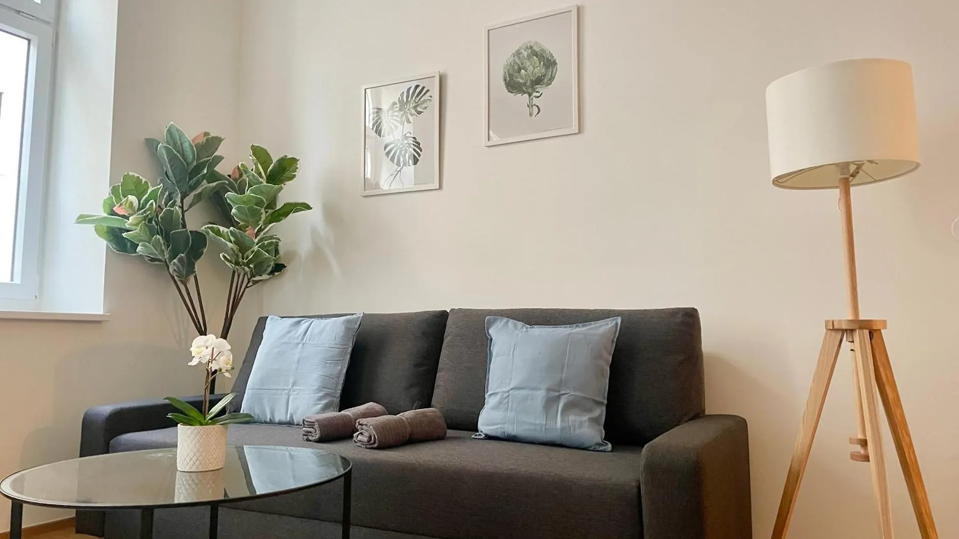 Spacious 2 Bedroom Modern Apartment contacts